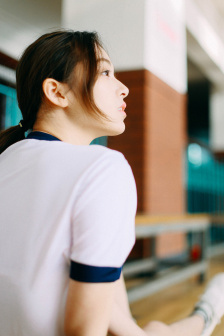 与君歌电视剧免费观看